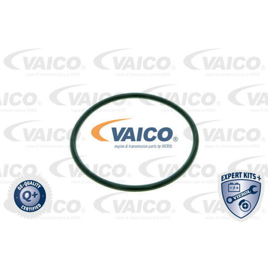 VAICO DSG Oil Filter 6 speed wet clutch dq250 OE2 VW Golf, Golf GTI, R32, Passat, Eos, Tiguan, Touran, Audi A3, TT 02E305051C 02E305051C 02E305051D, 02E305051B, 02E398051 02E305051 C 02E305051 C 02E305051 D, 02E305051 B, 02E398051 02E 305 051 C 02E 305 051 C 02E 305 051 D, 02E 305 051 B, 02E 398 051