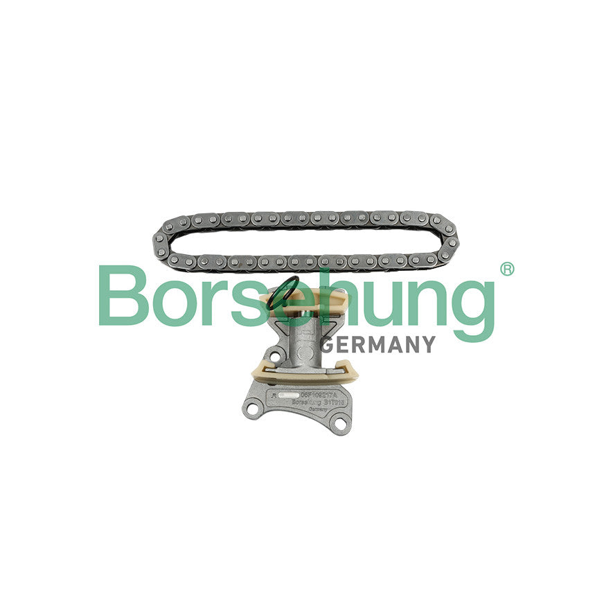 OEM Timing Chain Kit For VW Golf 5 GTI MK5 GTX Golf 6R Audi A3 S3 2.0T FSI / TFSI BORSEHUNG 06D109229